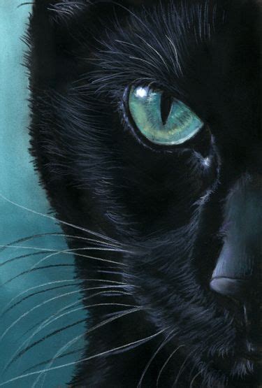 75 Mejores Imágenes De Pinceladas Drawings Cat Art Y Cat Illustrations