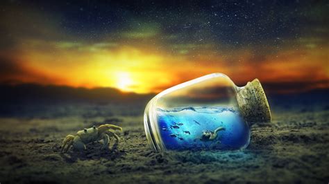 Download Bottle Turtle Crab Photography Manipulation 4k Ultra Hd