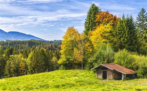 Wallpaper Trees Grass Hut Nature 3840x2160 Uhd 4k Picture Image