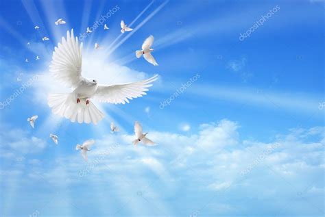 Holy Spirit Dove Flying In The Sky Stock Photo By ©bolina 56698827