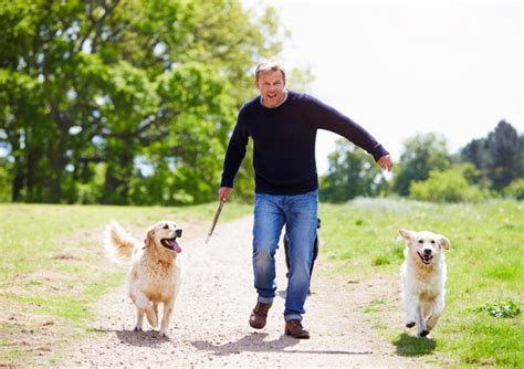 Walking 3 Things To Do With Your Dog For A Walk Dog Collars