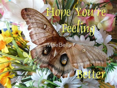 Hope Youre Feeling Bettercard By Maebelle Redbubble