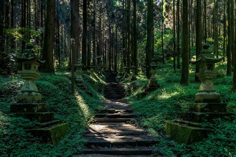 Free Images Japan Shrine Green Stairs Vegetation