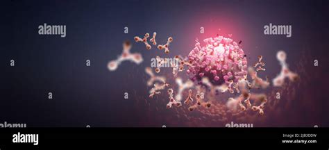 Antibodies In Blood Immunity Fights Viral Infection 3d Illustration