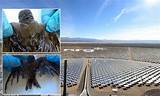 Pictures of Solar Power Plant Killing Birds