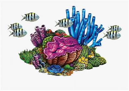 Coral Reef Clipart Transparent Clipartkey