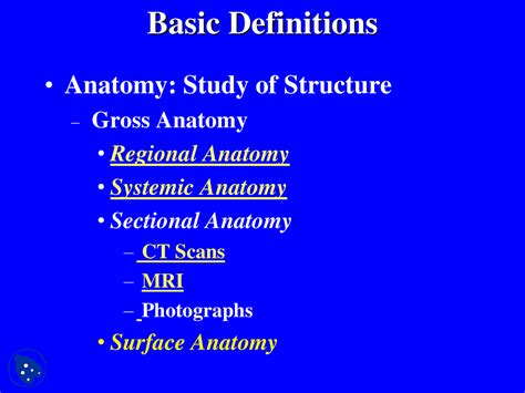 Basics Basic Human Anatomy Lecture Slides Docsity