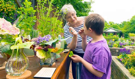 Horticultural Therapist Seed Your Future