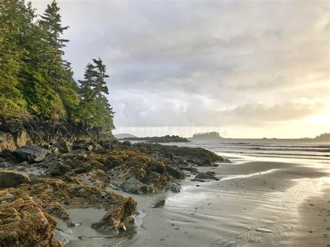The Amazing Pacific Rim National Park Reserve Bc Canada Stock Image