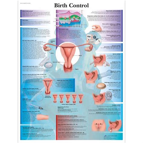 Birth Control Chart Uk