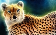Cool Animal Backgrounds (66+ images)