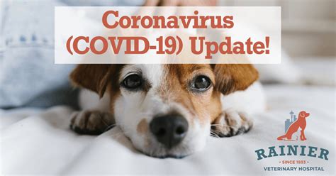 Coronavirus Covid 19 Update Rainier Veterinary Hospital In Seattle Wa