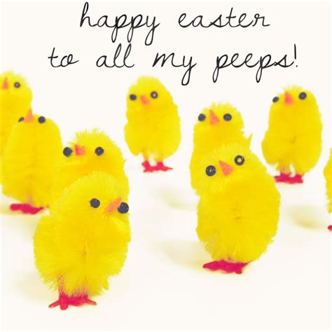 Happy Easter To All My Peeps D Funny Easter Pictures Easter Humor