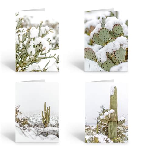 Saguaro Cactus Winter Greeting Cards 12 Desert Cactus Cards And