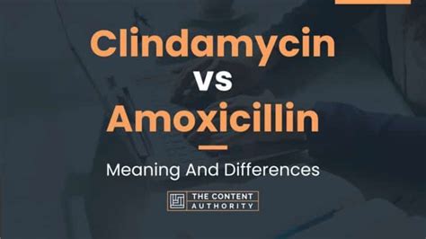Clindamycin Vs Amoxicillin Meaning And Differences