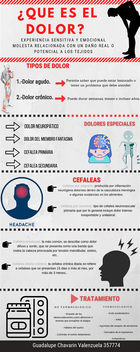 Infografia Del Dolor Guías Proyectos Investigaciones De Fisiología
