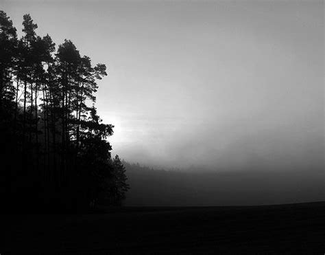 Misty Morning Photography Morning Photography Nature Photography