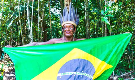 Brazils Indigenous Population Reaches 16 Million Historic Moment