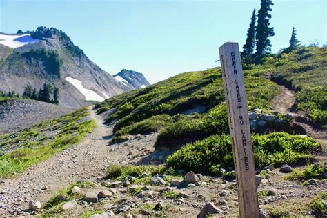 Ptarmigan Ridge Mount Baker Wilderness North Cascades Oregon Hikers