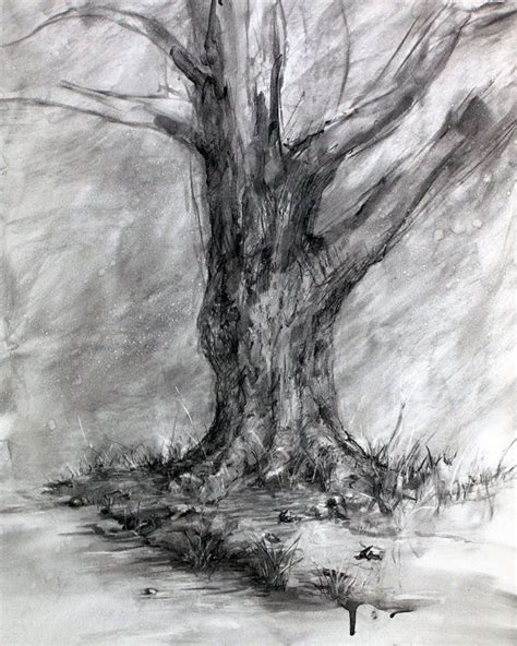 Charcoal Drawing Techniques Winters Shadow Charcoal Tree Drawing Fine