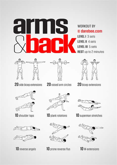 Arms And Back Workout Upper Body Strength Workout Body