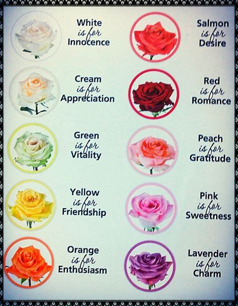 Something invented to make the rest of us single people feel like lonely shit. Know the meaning of roses through it's colors :) #gloven # ...