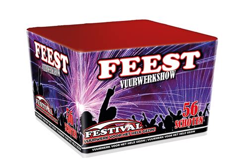 Festival Feest De Carlton Vuurwerk S Gravenzande