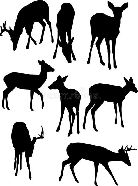 Deer Silhouettes A Vector Illustration Of Some Whitetail Deer