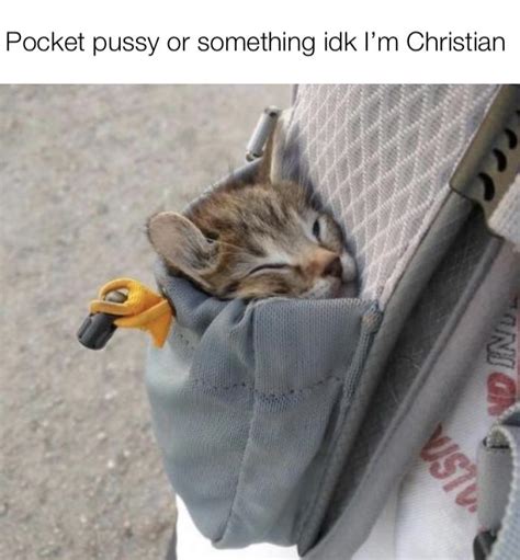 pocket pussy r memes