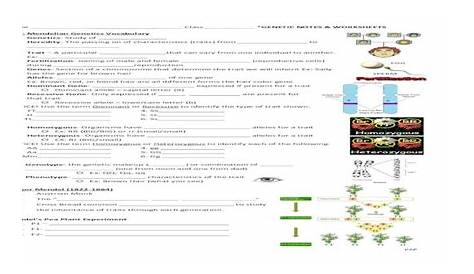 mendel's pea plants worksheet answer key