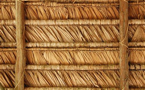 Thatched0046 Free Background Texture Roof Roofing Tropical Hut