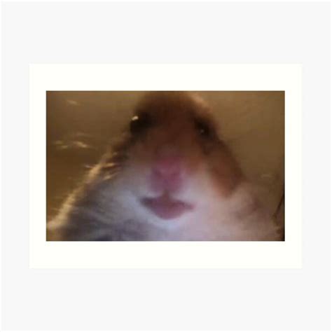 Hamster Meme Art Print For Sale By Robin40 Redbubble