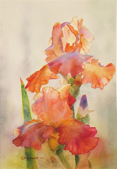 Original Orange Iris Drummond Art