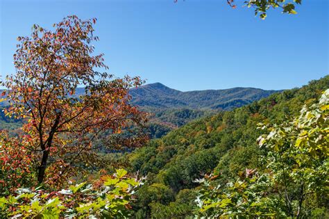 How To Visit Great Smoky Mountains National Park On A