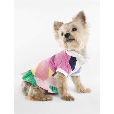 The Best Dog Clothing Brands For Stylish Pet Clothes Artofit
