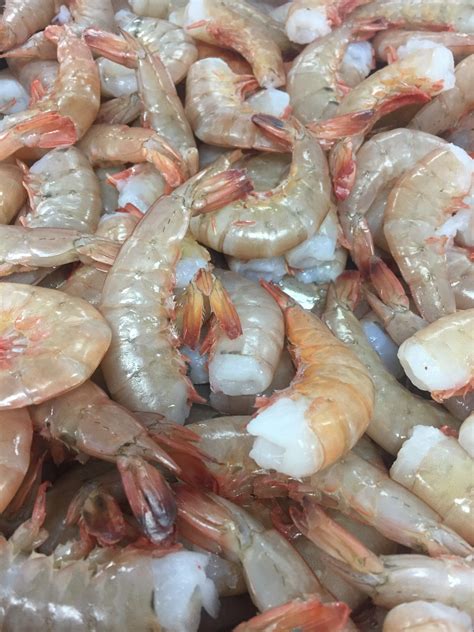 最も好ましい u12 shrimp size 900934 How big are u12 shrimp Bestpixtajph3z4