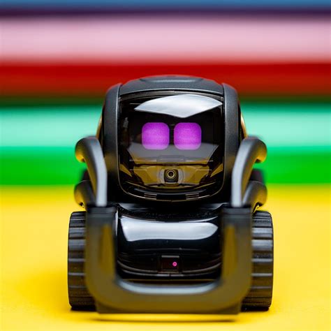 Vector Robot Anki Spicewest