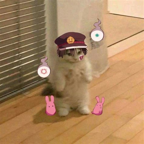 Funny Cat Meme Pfp Pfp Cat Anime Funny Cute Kitten Meme Memes Hero My