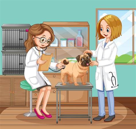 Médicos Veterinarios Ayudando A Un Perro 431956 Vector En Vecteezy