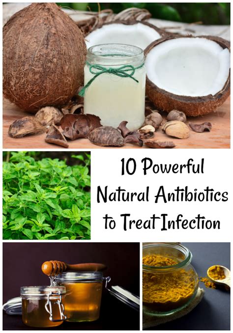 10 Powerful Natural Antibiotics To Treat Infection Nanny To Mommy
