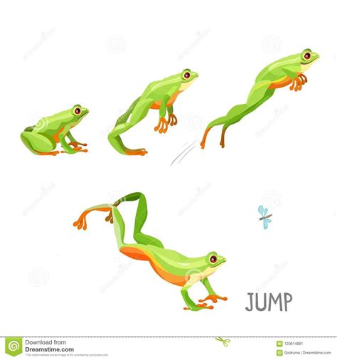 Frog Jumping By Sequence Cartoon Vector Illustration Illustration