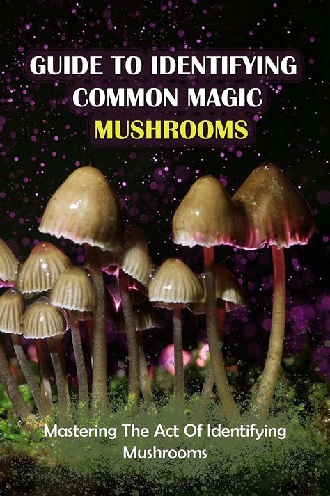 Guide To Identifying Common Magic Mushrooms Mastering The Act Of