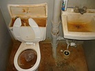 Dirty restrooms don’t correlate to foodborne illness outbreaks | barfblog