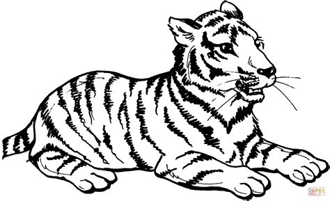 Desenho De Tigre Senta Para Colorir Desenhos Para Colorir E Imprimir
