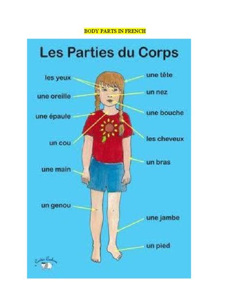 Body Parts In French Pdf