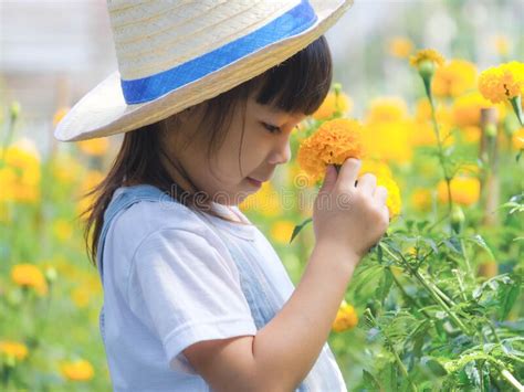 Cute Little Girl In A Hat Is Smelling Flowers In The Marigold Garden