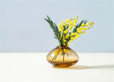 Premium Photo A Bouquet Of Yellow Mimosa Flowers Stands In A Glass