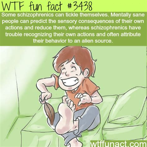 Can You Tickle Yourself Wtf Fun Facts