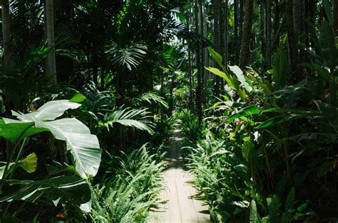 Building A Green Oasis At Home: A Guide – A Beautiful Space