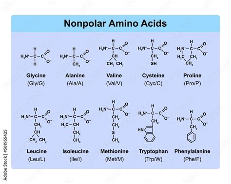 Amino Acids Types Table Showing The Chemical Structure Of Nonpolar
